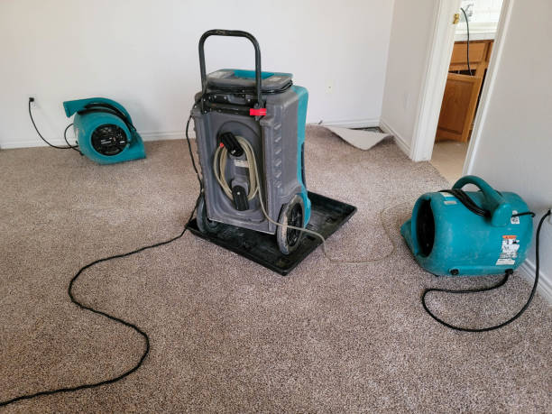 Best Water damage restoration experts  in Casas Adobes, AZ