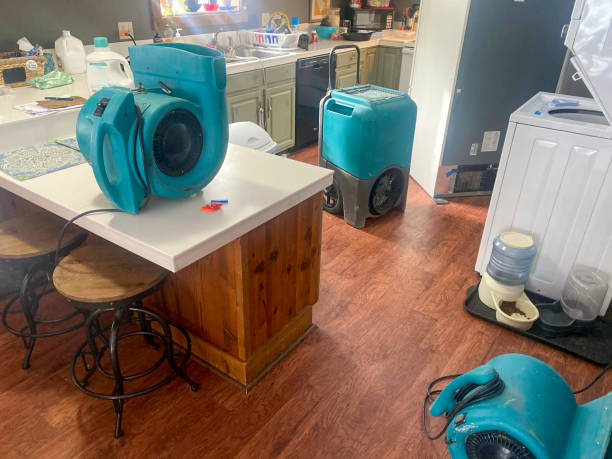 Local water damage restoration in AZ
