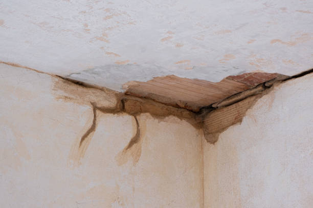 Best Carpet water damage restoration  in Casas Adobes, AZ