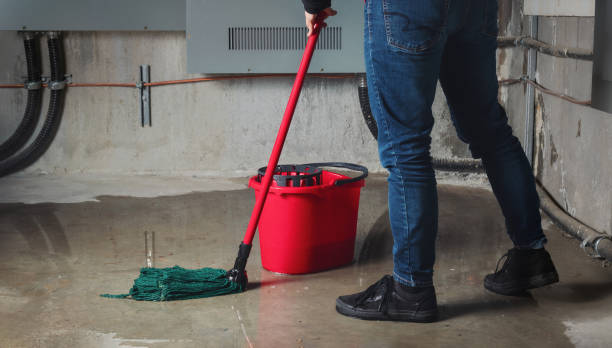 Best Mold removal after water damage  in Casas Adobes, AZ