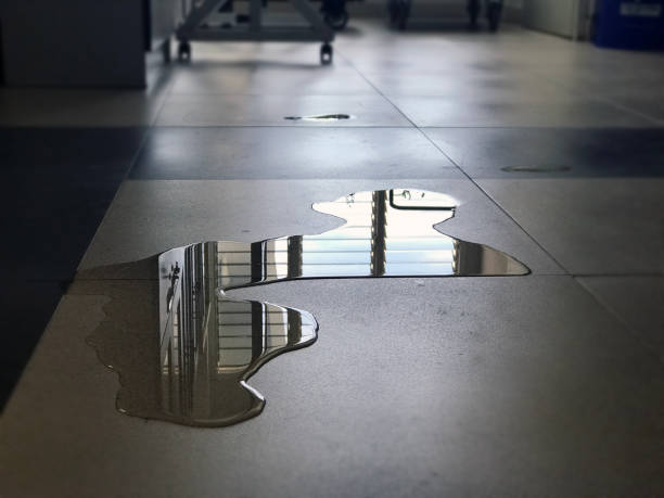 Best 24-hour water damage restoration  in Casas Adobes, AZ
