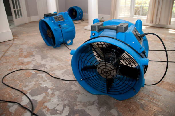 Best Carpet water damage restoration  in Casas Adobes, AZ