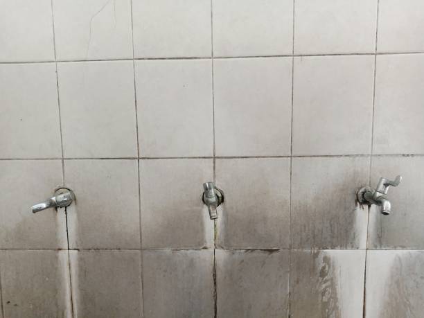 Best Water damage contractors near me  in Casas Adobes, AZ