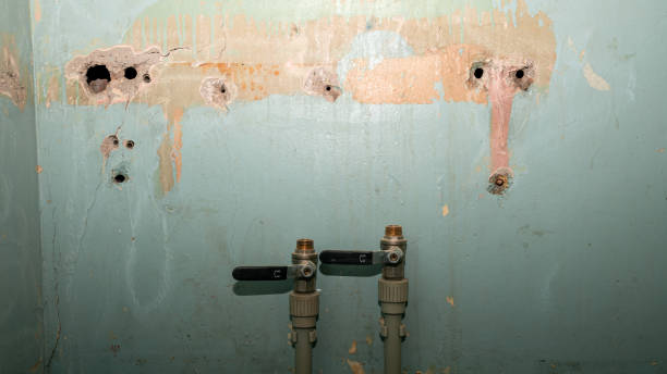  Casas Adobes, AZ Water damage restoration Pros