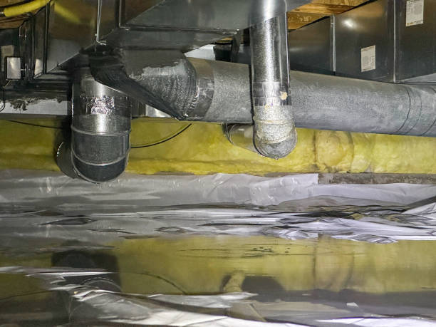 Best Local water damage restoration  in Casas Adobes, AZ