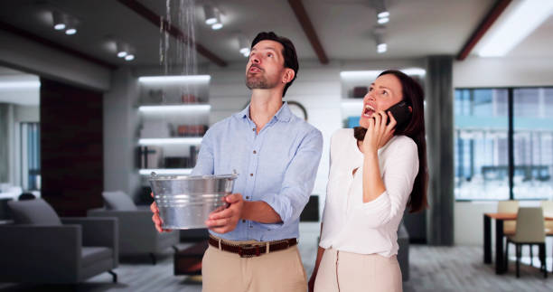  Casas Adobes, AZ Water damage restoration Pros
