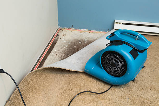 Best Water damage mitigation services  in Casas Adobes, AZ